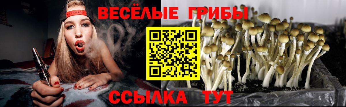 Борзя  Псилоцибиновые грибы прущие грибы  Псилоцибиновые грибы Psilocybe  наркота  Вход с VPN 